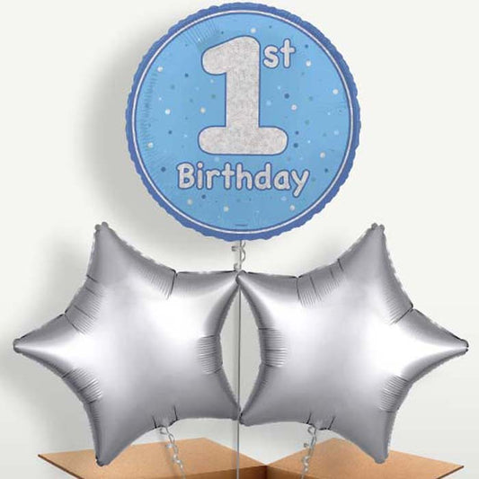 Blue & Silver 1st Birthday Bunch of Balloons | Small Indoor Plants