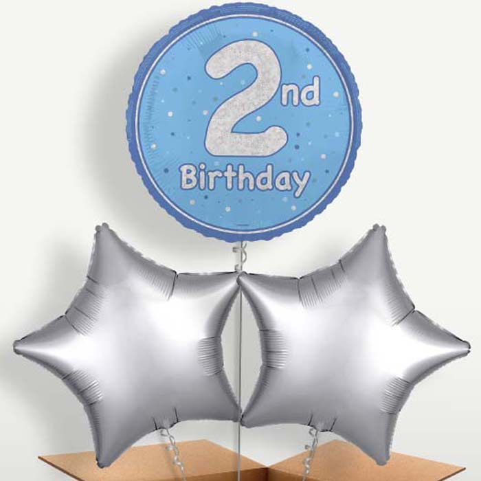 Blue & Silver 2nd Birthday Bunch of Balloons | Small Indoor Plants