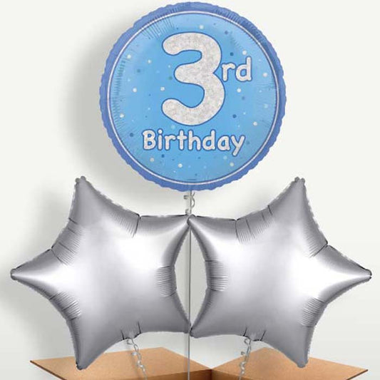 Blue & Silver 3rd Birthday Bunch of Balloons | Small Indoor Plants