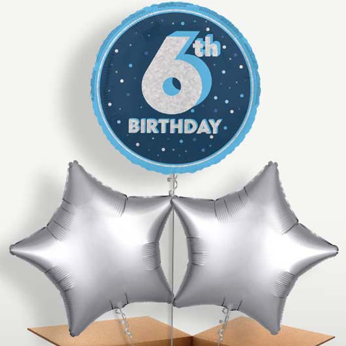 Navy Blue & Silver 6th Birthday Balloon Bunches | Small Indoor Plants