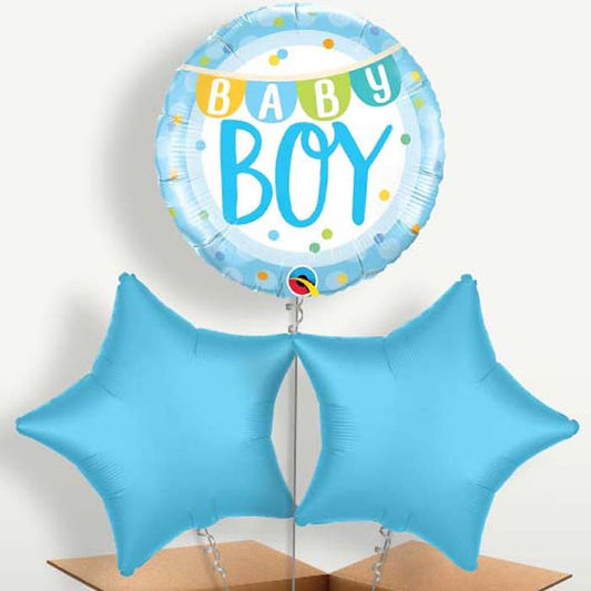 Baby Boy New Baby Bunch of Balloons inflated with Helium | Small Indoor Plants