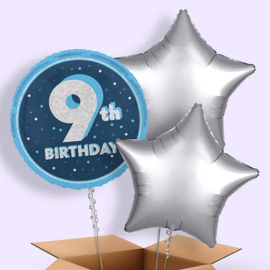 Navy Blue and Silver 9th Birthday Foil Balloon in a Box - 3 Balloon | Small Indoor Plants