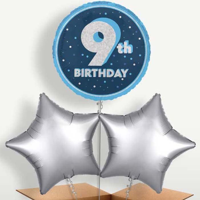 Navy Blue & Silver 9th Birthday Balloon Bunch | Small Indoor Plants