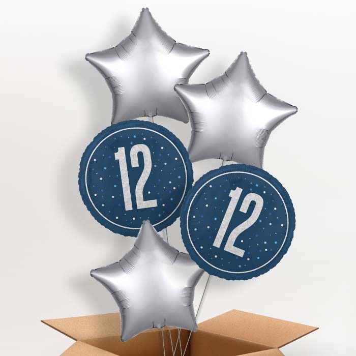 Navy Blue and Silver 12th Birthday Foil Balloon in a Box - 5 Balloon | Small Indoor Plants