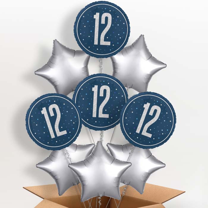 Navy Blue and Silver 12th Birthday Foil Balloon in a Box - 9 Balloon | Small Indoor Plants