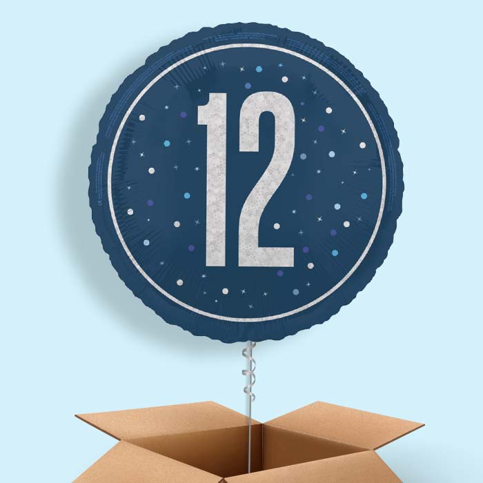 Navy Blue and Silver 12th Birthday Foil Balloon in a Box - 1 Balloon | Small Indoor Plants