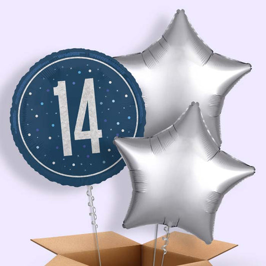 Navy Blue and Silver 14th Birthday Foil Balloon in a Box - 3 Balloon | Small Indoor Plants