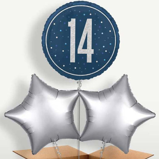 Navy Blue & Silver 14th Birthday Balloon Bunches | Small Indoor Plants