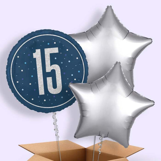 Navy Blue and Silver 15th Birthday Foil Balloon in a Box - 3 Balloon | Small Indoor Plants