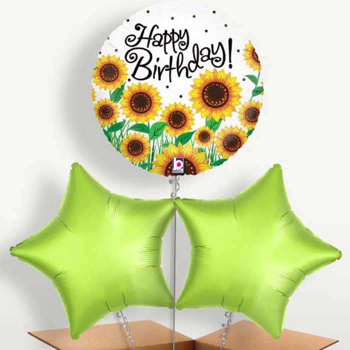 Sunflower Happy Birthday Bunch of Balloons | Small Indoor Plants