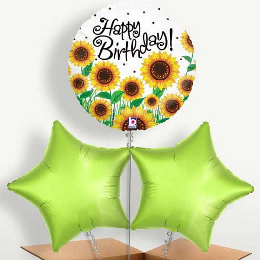 Sunflower Happy Birthday Bunch of Balloons | Small Indoor Plants