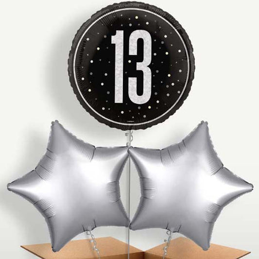 Black & Silver 13th Birthday Bunch of Balloons | Small Indoor Plants