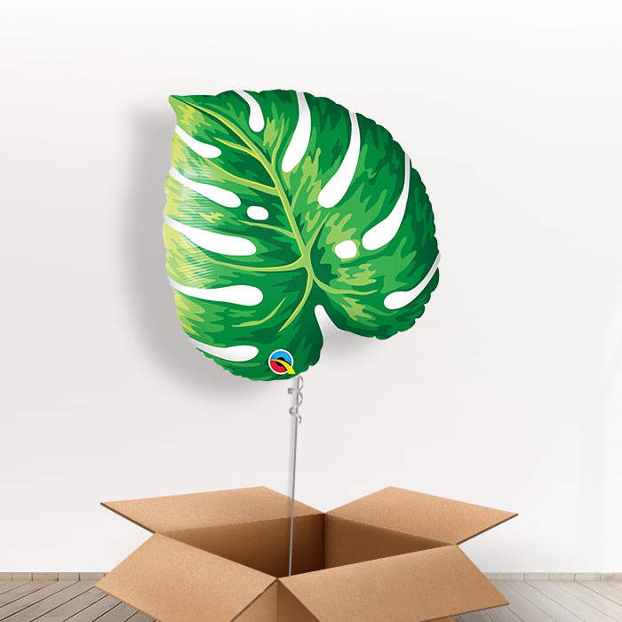 Giant Tropical Monstera Leaf Balloon in a Box