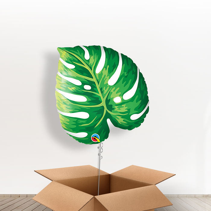Giant Tropical Leaf Helium Balloon in a Box