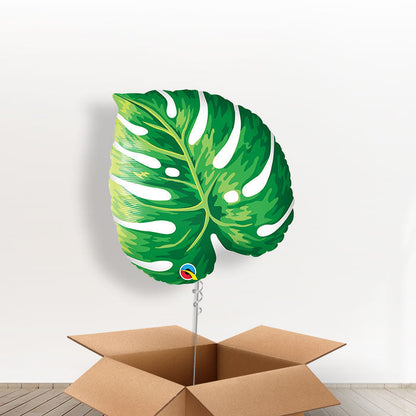 Giant Tropical Leaf Helium Balloon in a Box