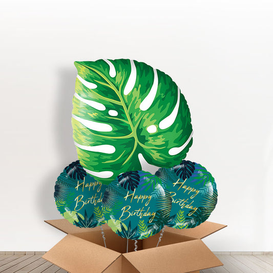 Giant Tropical Leaf Balloons in a Box - With 3 Themed Balloons | Small Indoor Plants