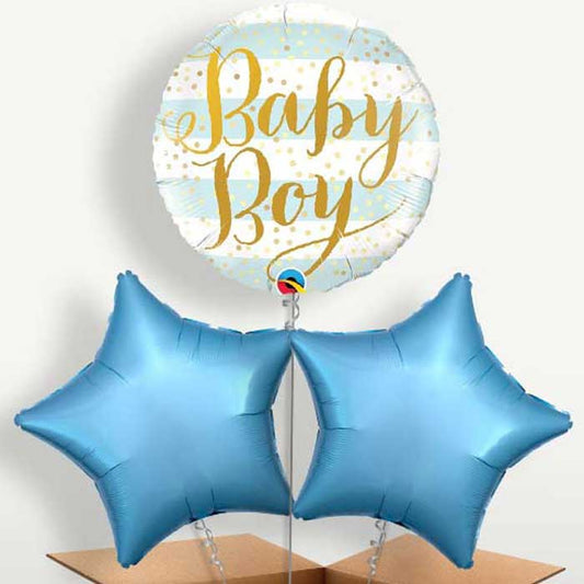 New Baby Boy Bunch of Balloons inflated with Helium | Small Indoor Plants