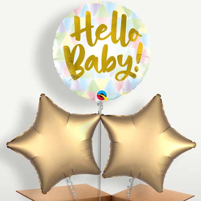 Hello Baby Balloons in a Bunch Inflated with Helium | Small Indoor Plants