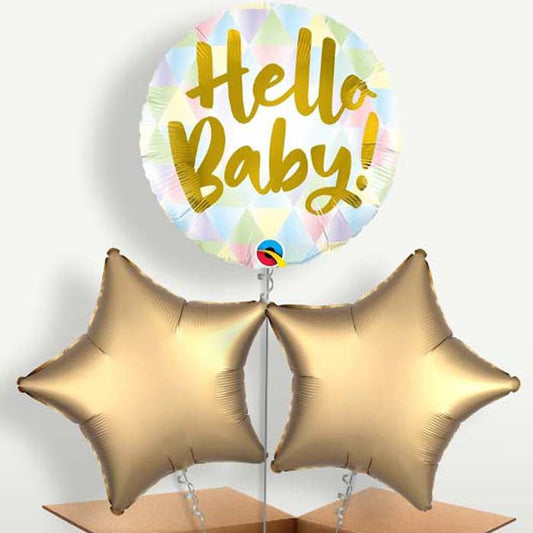 Hello Baby Balloons in a Bunch Inflated with Helium | Small Indoor Plants