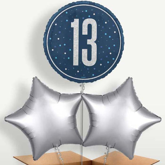Navy Blue & Silver 13th Birthday Balloon Bunches | Small Indoor Plants