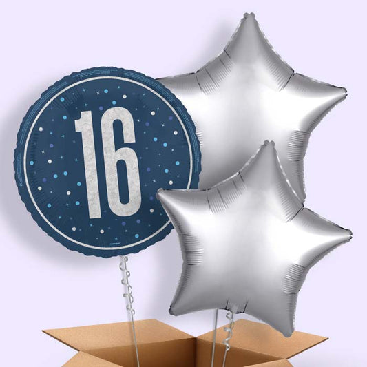 Navy Blue and Silver 16th Birthday Foil Balloon in a Box - 3 Balloon | Small Indoor Plants