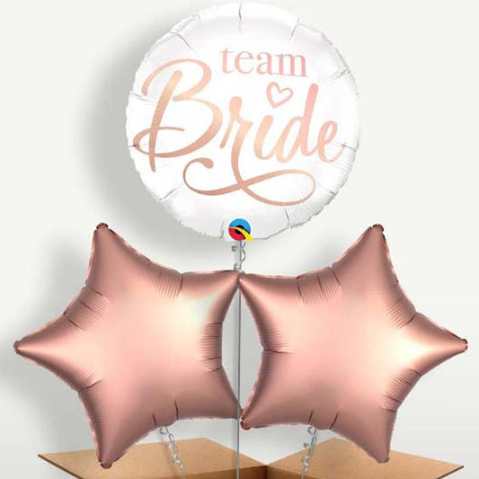Team Bride Rose Gold Helium Bunch of Balloons | Small Indoor Plants