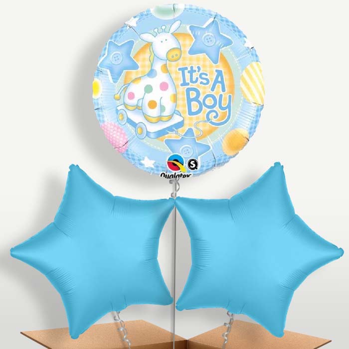 Giraffe Baby Boy Bunch of Balloons inflated with Helium | Small Indoor Plants