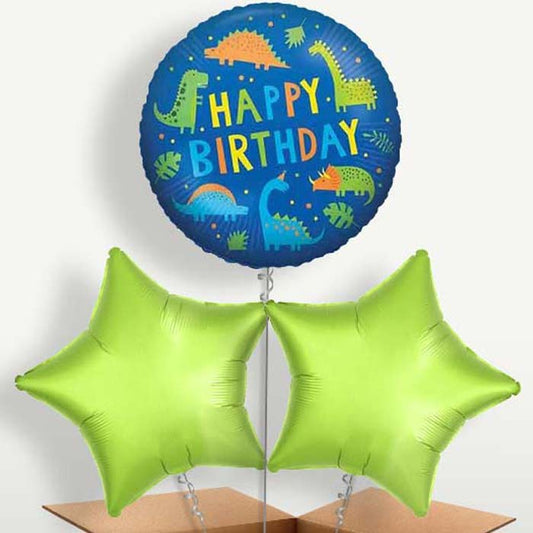 Colourful Happy Birthday Dinosaur Bunch of Balloons | Small Indoor Plants