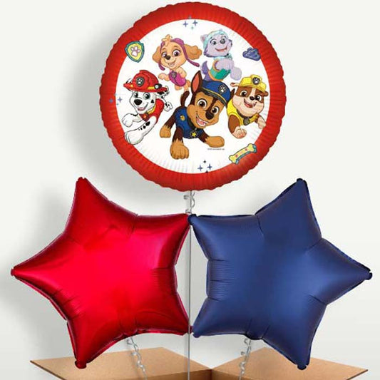 Paw Patrol Ready for Action Balloon Bunch | Small Indoor Plants