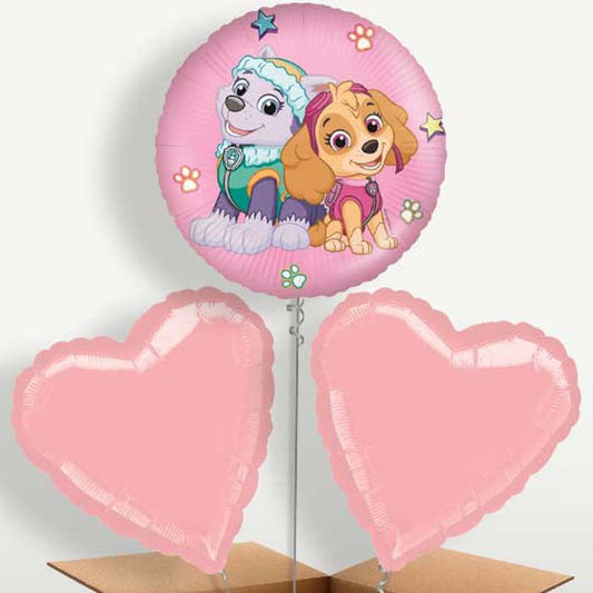 Paw Patrol Everest & Skye Balloon Bunch | Small Indoor Plants