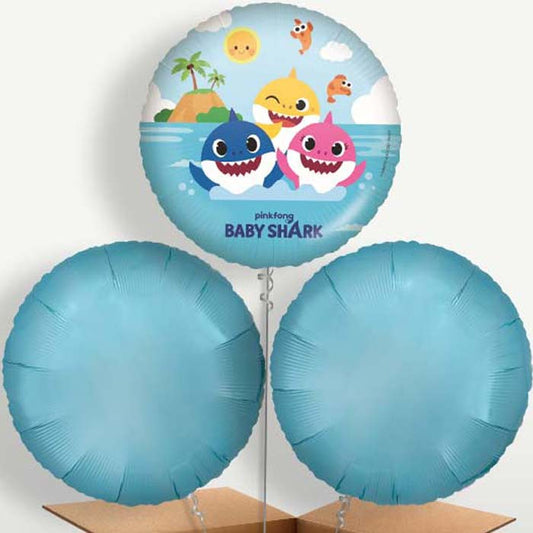 Baby Shark Bunch of Balloons inflated with Helium | Small Indoor Plants