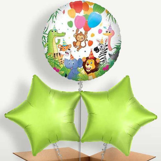 Colourful Party Animals Bunch of Balloons | Small Indoor Plants