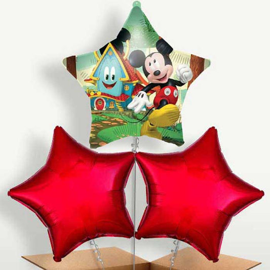Mickey Mouse Rock the House Star Balloon Bunches | Small Indoor Plants