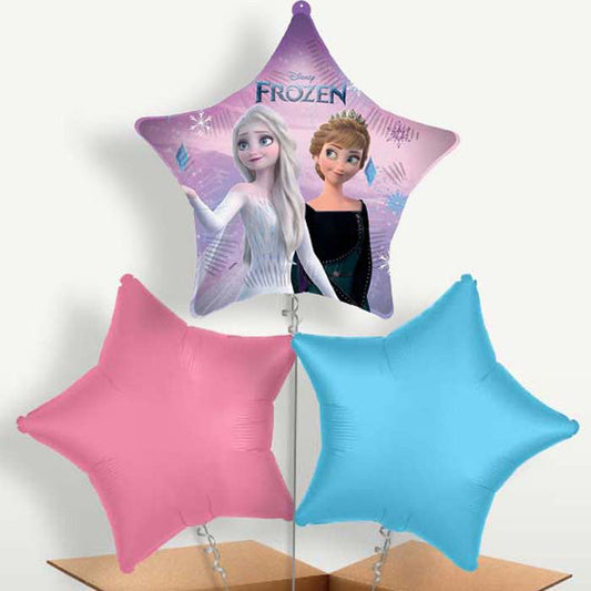 Frozen Wind Spirit Star Trio Balloon Bunch | Small Indoor Plants