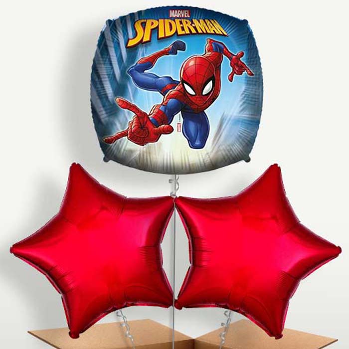 Spiderman Helium Bunch of Balloons | Small Indoor Plants
