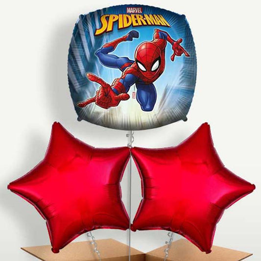 Spiderman Helium Bunch of Balloons | Small Indoor Plants