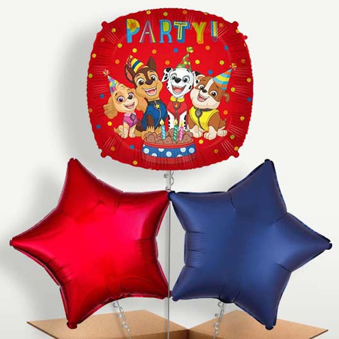 Paw Patrol Party! Balloon Bunch inflated with Helium | Small Indoor Plants
