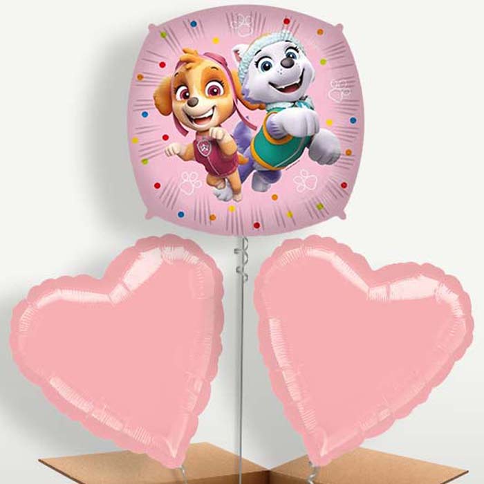Paw Patrol Skye & Everest Balloon Bunch | Small Indoor Plants