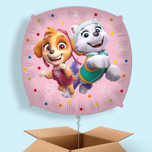 Paw Patrol Everest and Skye Foil Balloon in a Box