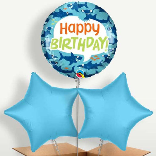 Shark Happy Birthday Helium Bunch of Balloons | Small Indoor Plants