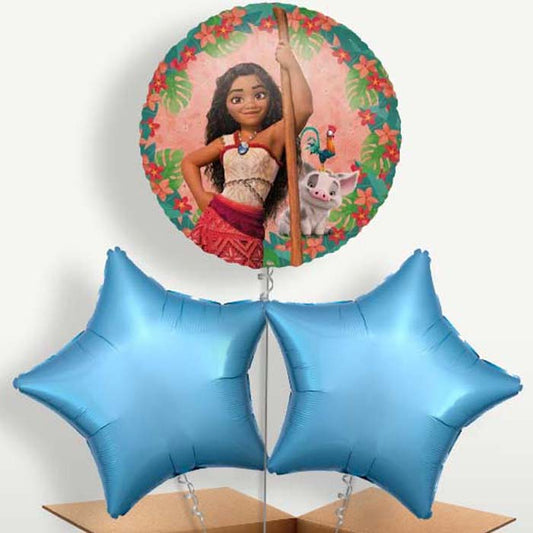 Moana Balloon Bunches inflated with Helium | Small Indoor Plants