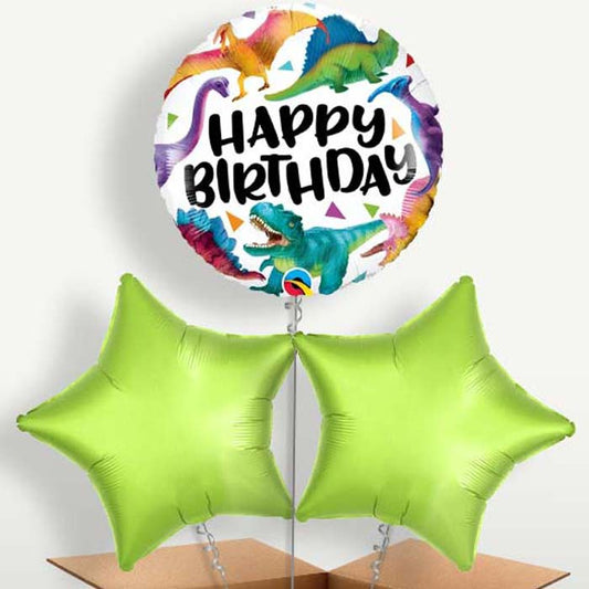 Dinosaur Birthday Trio Balloon Bunch inflated with Helium | Small Indoor Plants