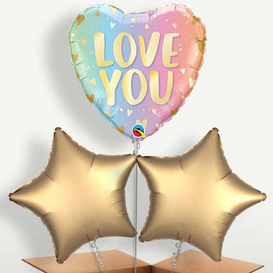 I Love You Ombre Balloon Bunches inflated with Helium | Small Indoor Plants