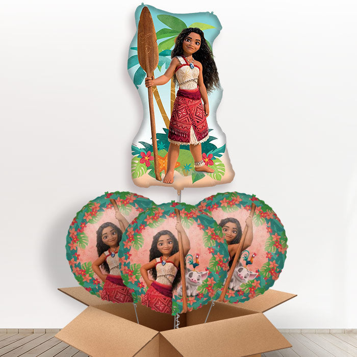 Giant Moana Helium Balloon In a Box - With 3 Themed Balloons | Small Indoor Plants