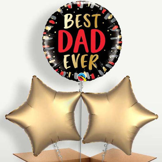 Best Dad Ever Father's Day Bunch of Balloons | Small Indoor Plants