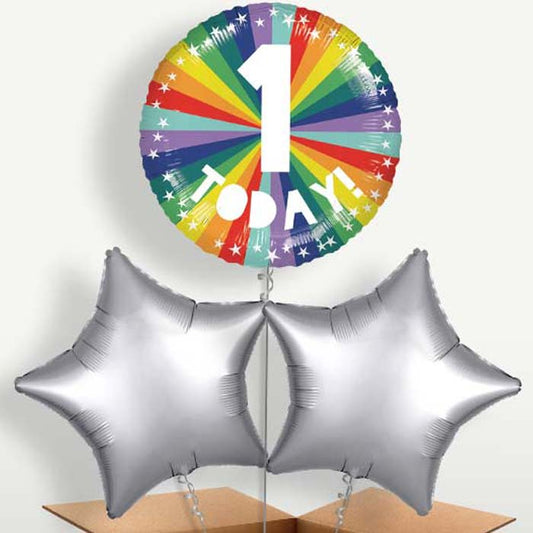 Age 1 1st Birthday Rainbow Bunch of Balloons | Small Indoor Plants