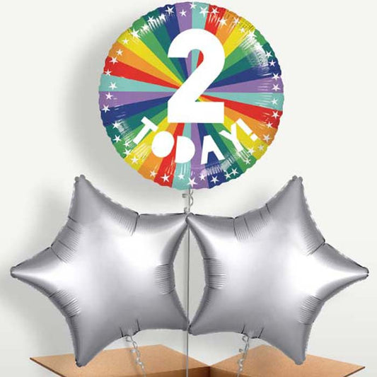 Age 2 2nd Birthday Rainbow Bunch of Balloons | Small Indoor Plants
