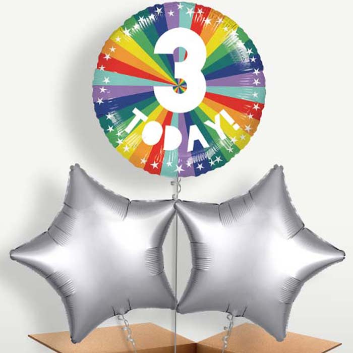 Age 3 3rd Birthday Rainbow Bunch of Balloons | Small Indoor Plants