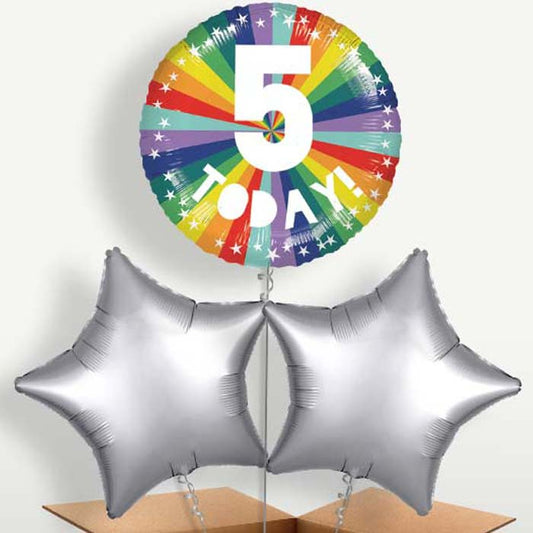 Age 5 5th Birthday Rainbow Bunch of Balloons | Small Indoor Plants