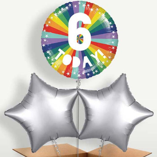 Age 6 6th Birthday Rainbow Bunch of Balloons | Small Indoor Plants